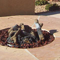 Pot fountain and native plants